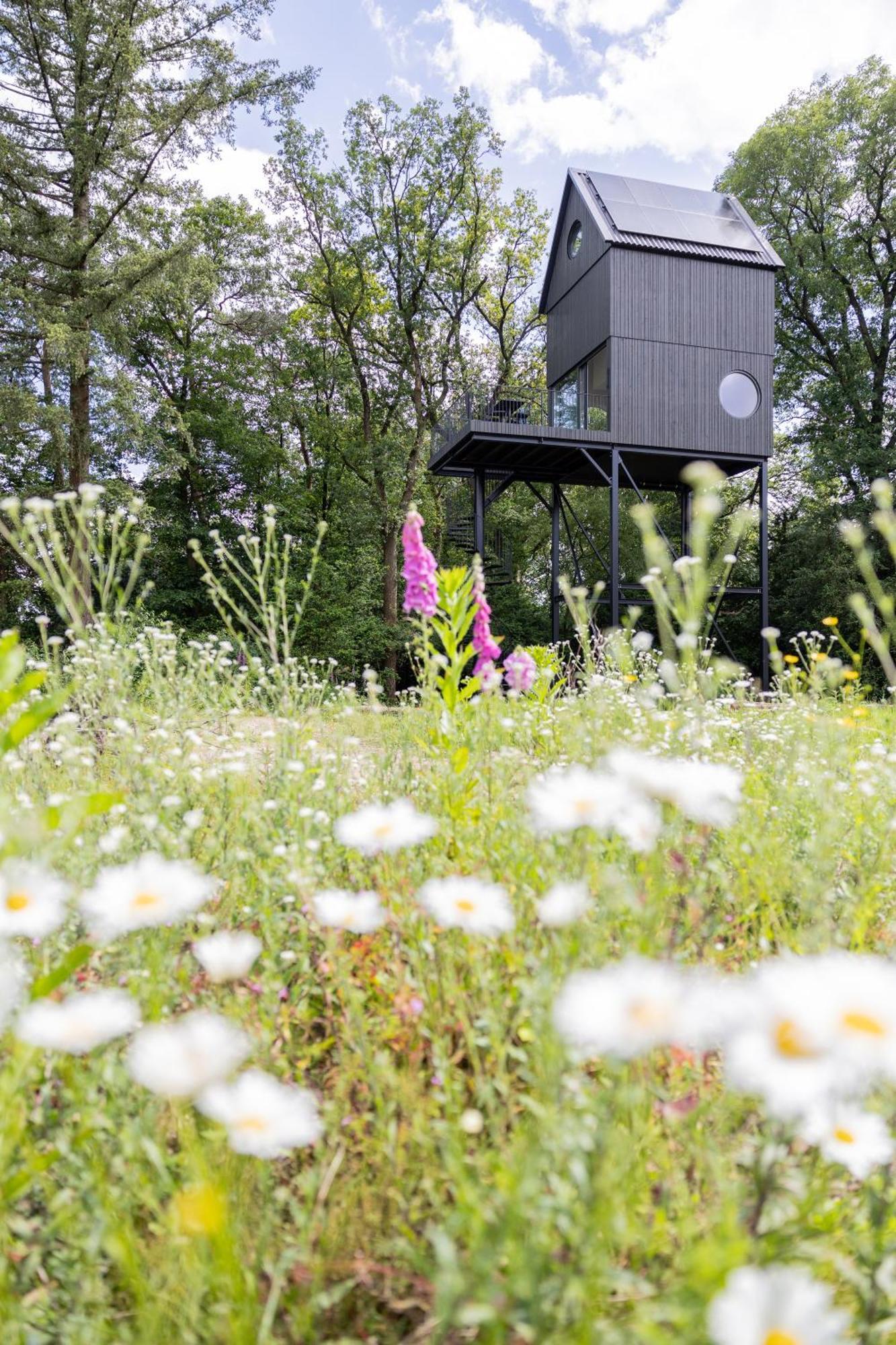 Buitenverblijf Nest Arnhem Exterior photo